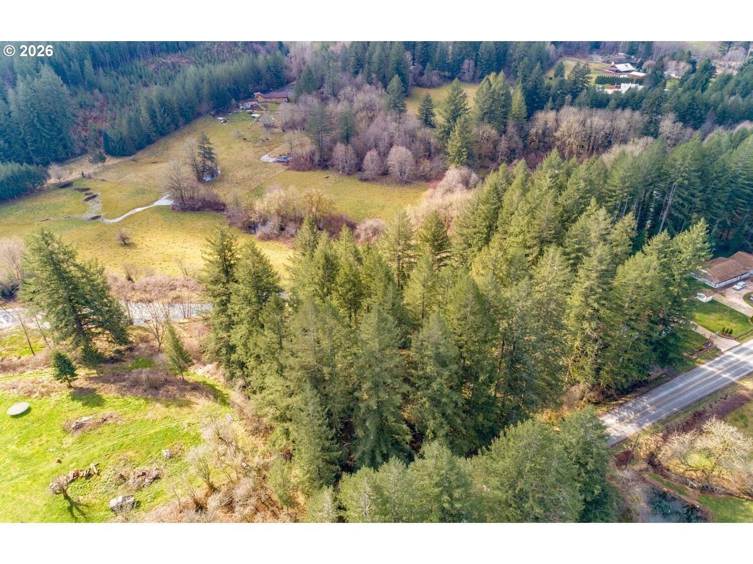Northeast Cedar Creek Road Amboy, WA 98601 - Photo 21 of 21
