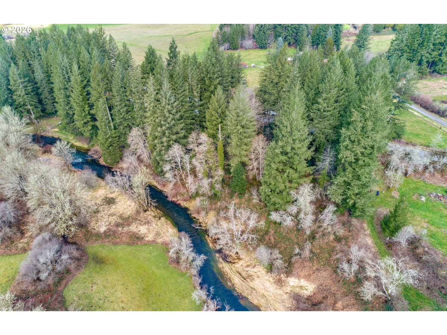 Northeast Cedar Creek Road Amboy, WA 98601 - Photo 3 of 21