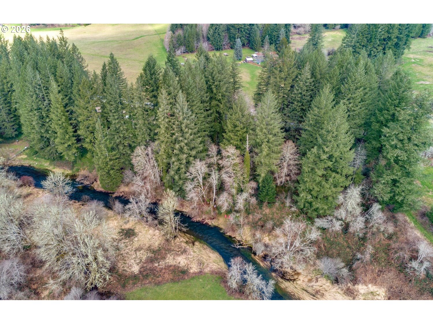 Northeast Cedar Creek Road Amboy, WA 98601 - Photo 4 of 21