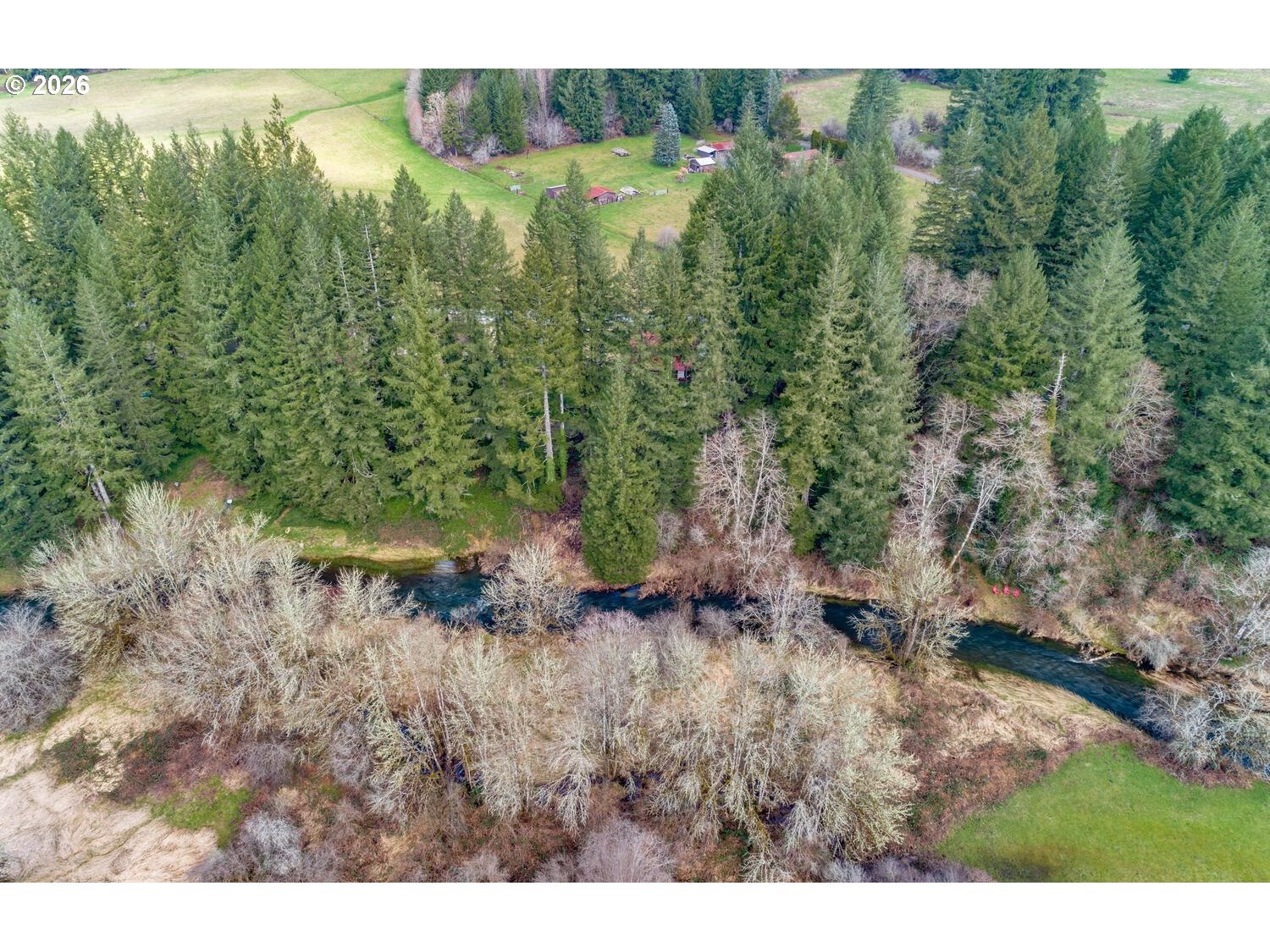 Northeast Cedar Creek Road Amboy, WA 98601 - Photo 5 of 21