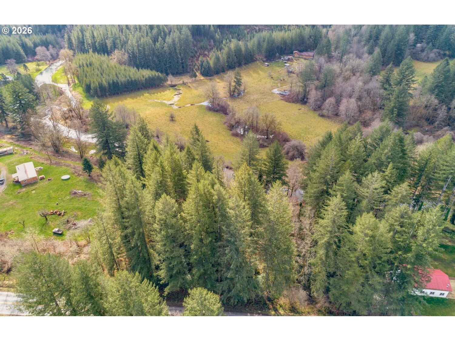 Northeast Cedar Creek Road Amboy, WA 98601 - Photo 8 of 21