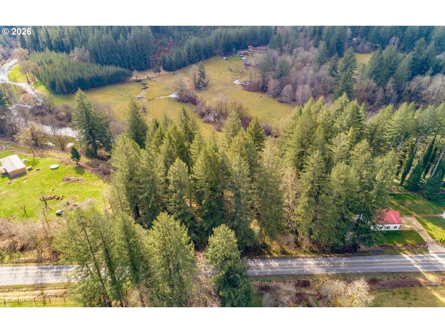 Northeast Cedar Creek Road Amboy, WA 98601 - Photo 9 of 21