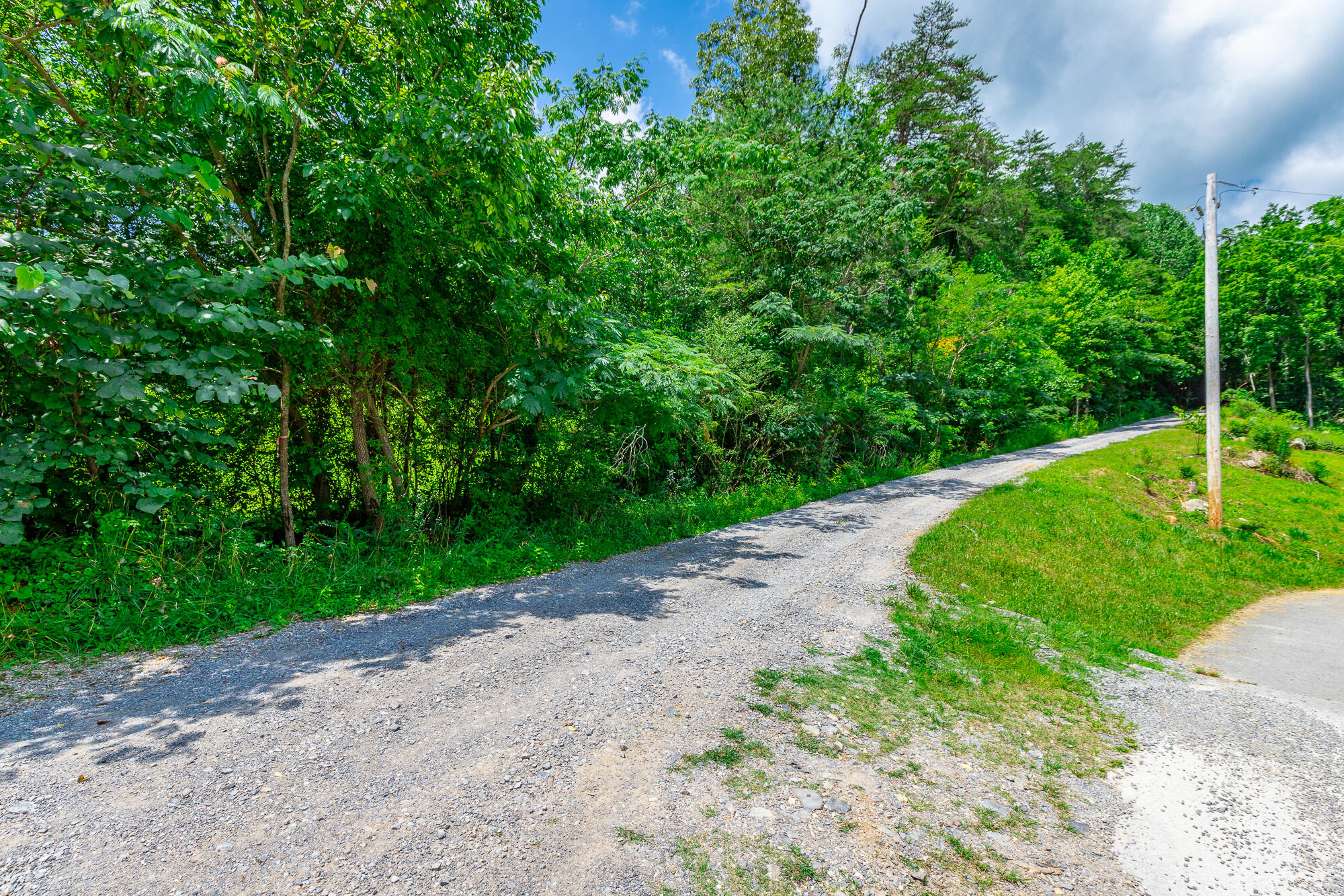 601 Priest Avenue Jasper, TN 37347 - Photo 3 of 47 601, 755 Priest Avenue Lots HD-3