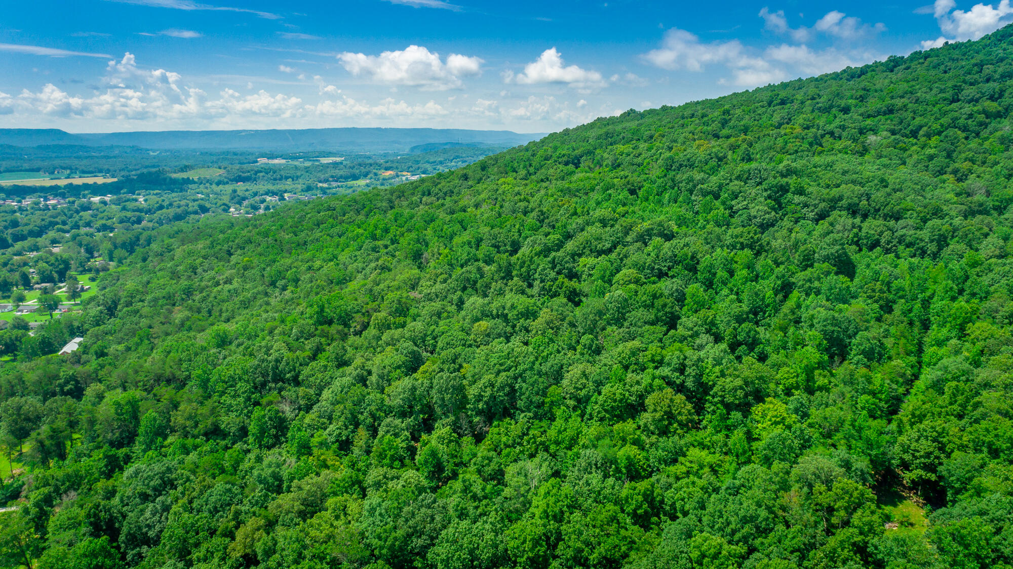 601 Priest Avenue Jasper, TN 37347 - Photo 32 of 47 601, 755 Priest Avenue Lots HD-32