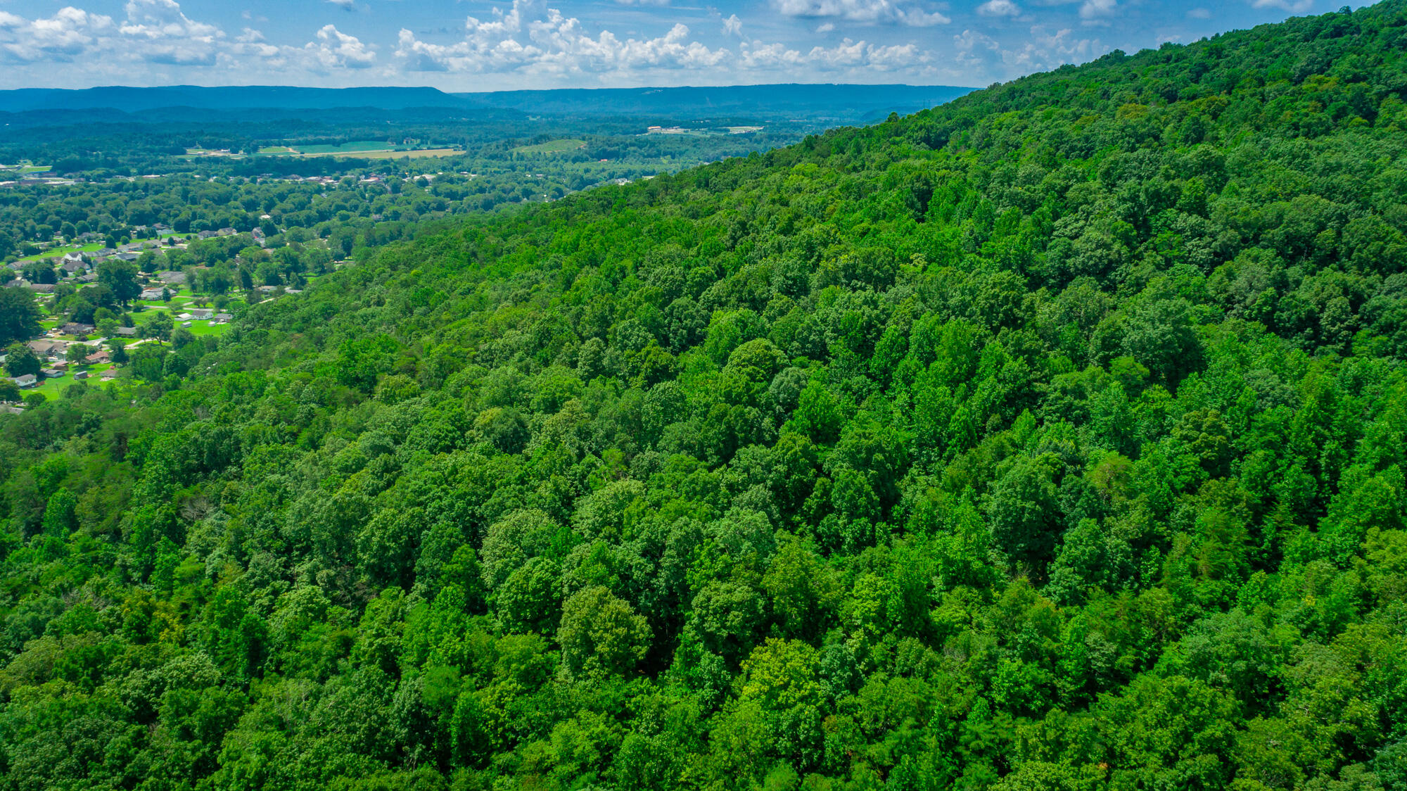 601 Priest Avenue Jasper, TN 37347 - Photo 38 of 47 601, 755 Priest Avenue Lots HD-38