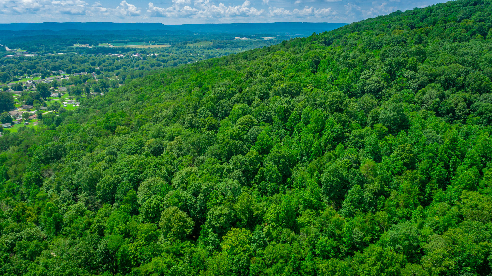 601 Priest Avenue Jasper, TN 37347 - Photo 39 of 47 601, 755 Priest Avenue Lots HD-39