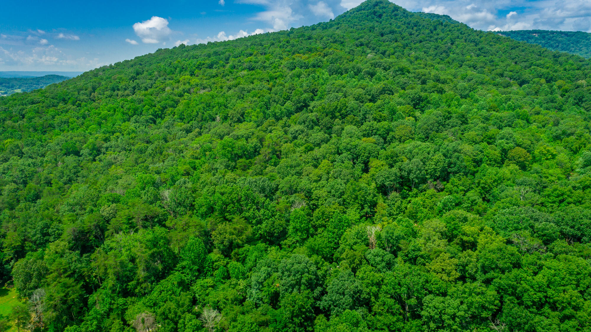 601 Priest Avenue Jasper, TN 37347 - Photo 46 of 47 601, 755 Priest Avenue Lots HD-46