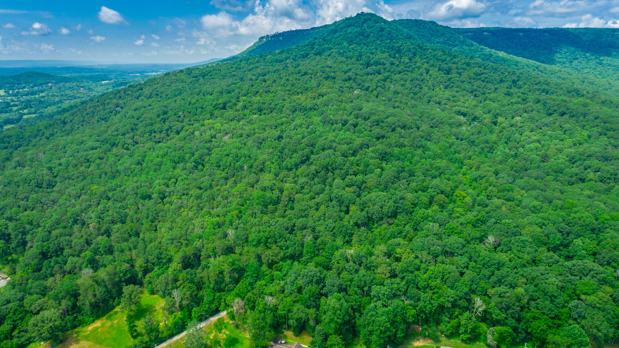 601 Priest Avenue Jasper, TN 37347 - Photo 7 of 47 601, 755 Priest Avenue Lots HD-7