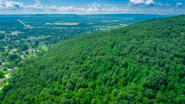 $55,000 | 601 Priest Avenue, Jasper, TN 37347