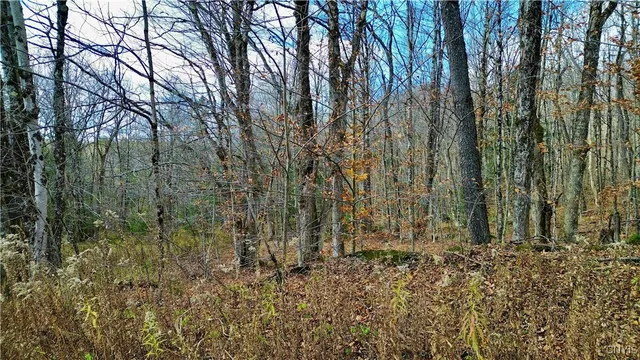 $159,900 | Lot 3 Jerseyfield Road, Little Falls, NY 13365