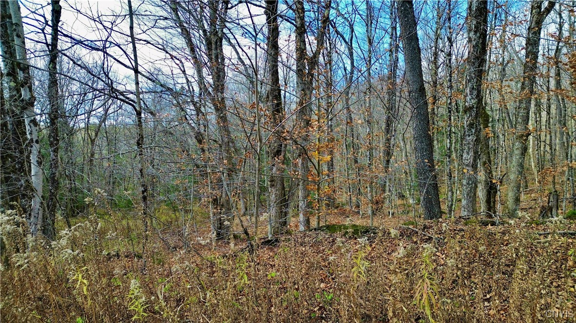 Lot 3 Jerseyfield Road Little Falls, NY 13365 - Photo 12 of 14