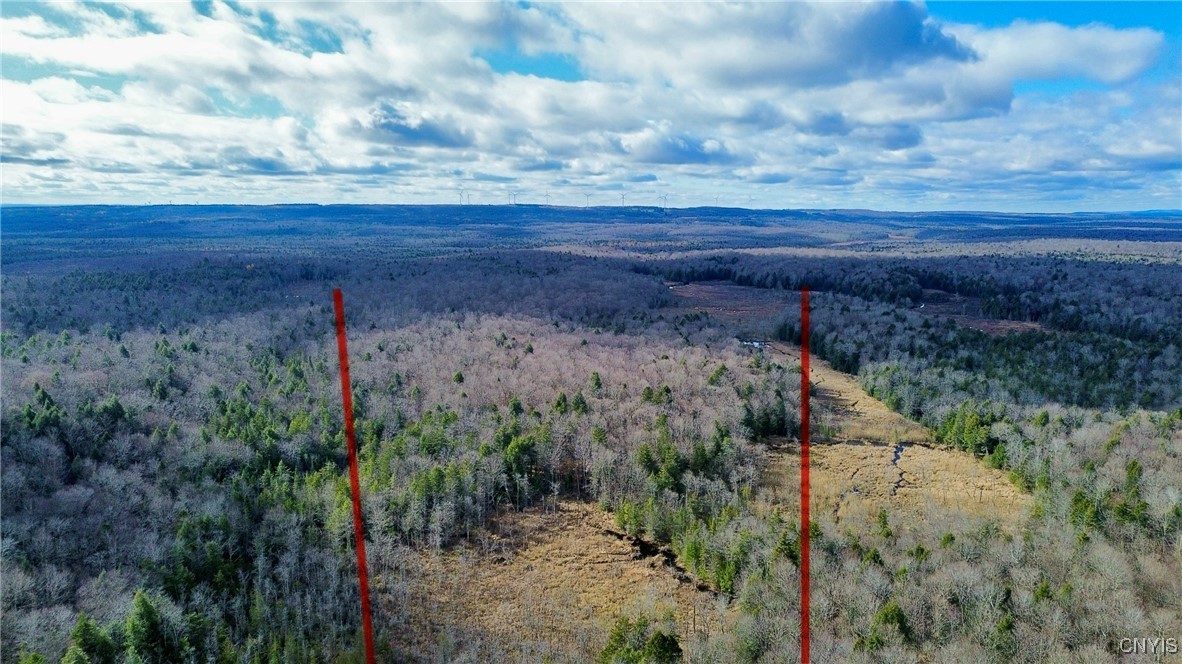 Lot 3 Jerseyfield Road Little Falls, NY 13365 - Photo 13 of 14
