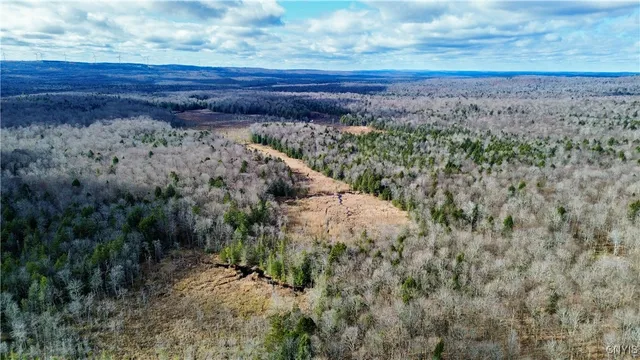 $159,900 | Lot 3 Jerseyfield Road, Little Falls, NY 13365