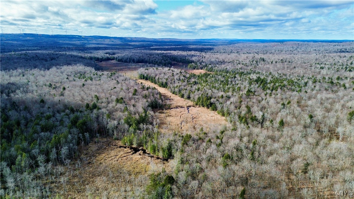 Lot 3 Jerseyfield Road Little Falls, NY 13365 - Photo 2 of 14