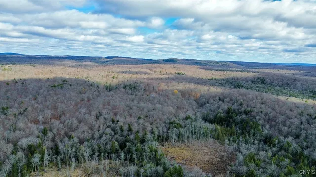 $159,900 | Lot 3 Jerseyfield Road, Little Falls, NY 13365