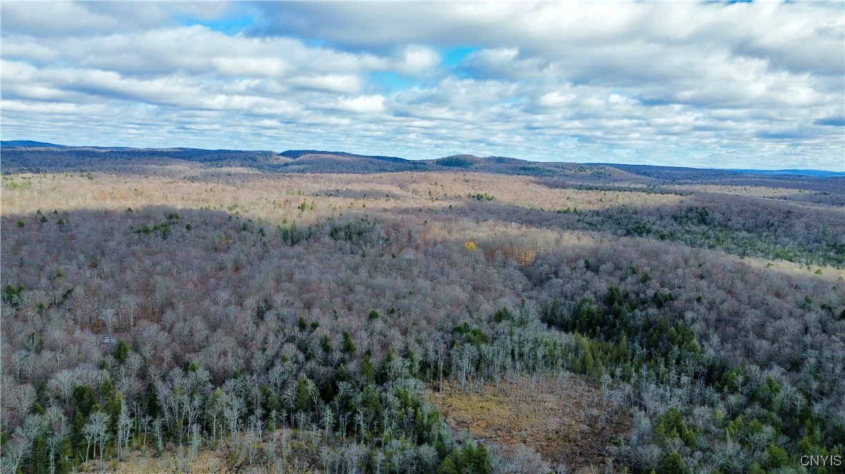 Lot 3 Jerseyfield Road Little Falls, NY 13365 - Photo 5 of 14