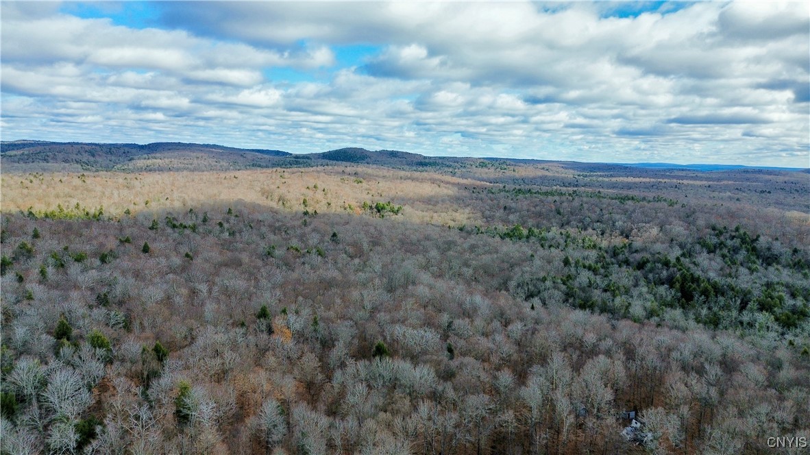 Lot 3 Jerseyfield Road Little Falls, NY 13365 - Photo 6 of 14