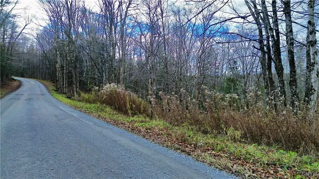 $159,900 | Lot 3 Jerseyfield Road, Little Falls, NY 13365