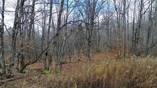 $145,000 | Lot 3 Jerseyfield Road, Little Falls, NY 13365
