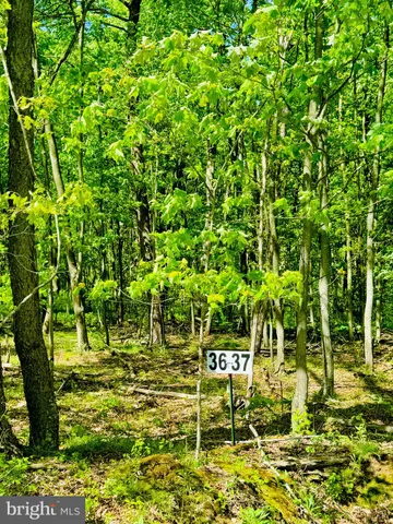 a view of sign board