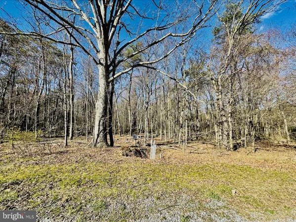 a view of outdoor space with trees