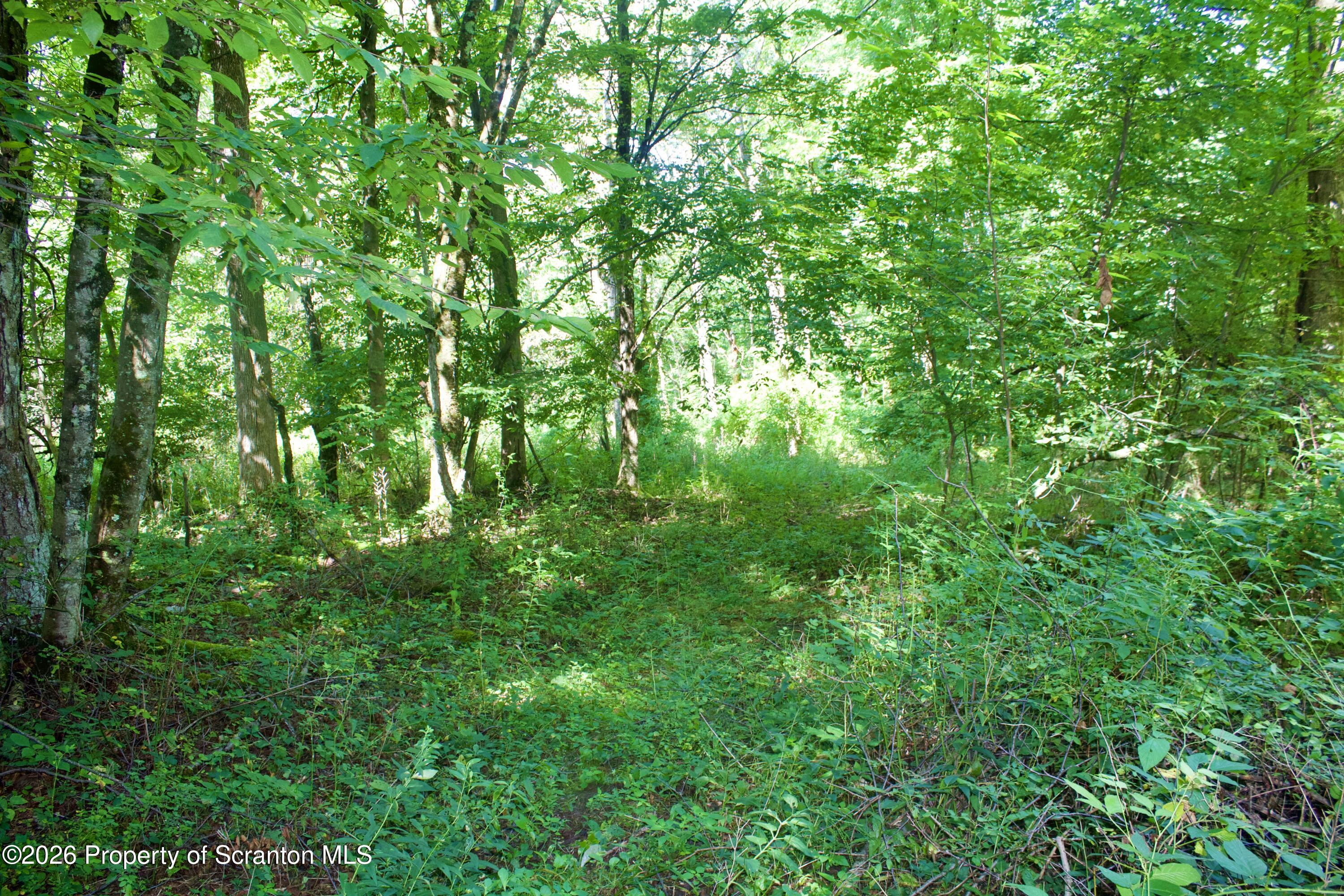 2000 Belcher Road Union Dale, PA 18470 - Photo 6 of 28 IMG_4657