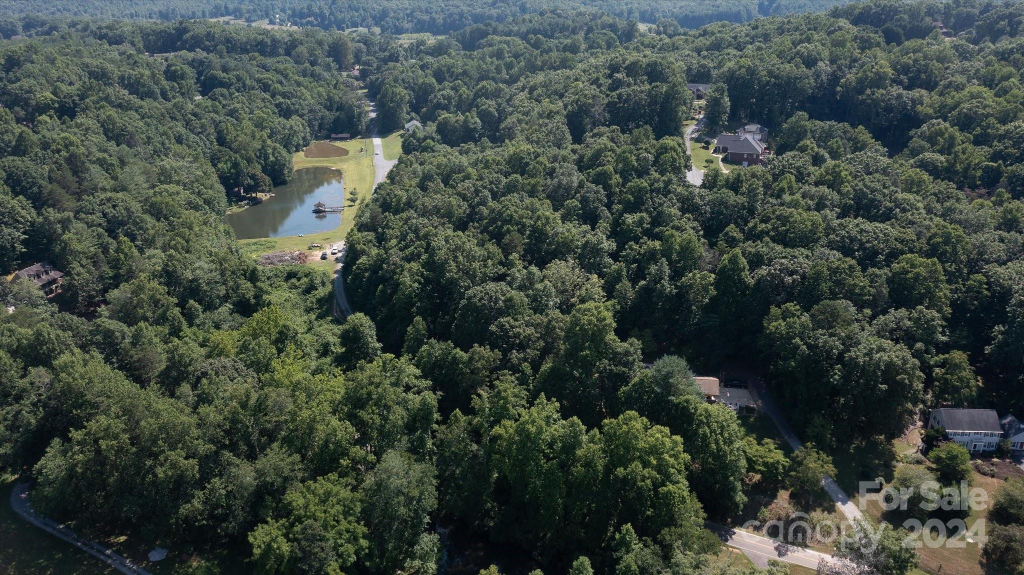 99999 Goose Creek Road Marion, NC 28752 - Photo 13 of 13