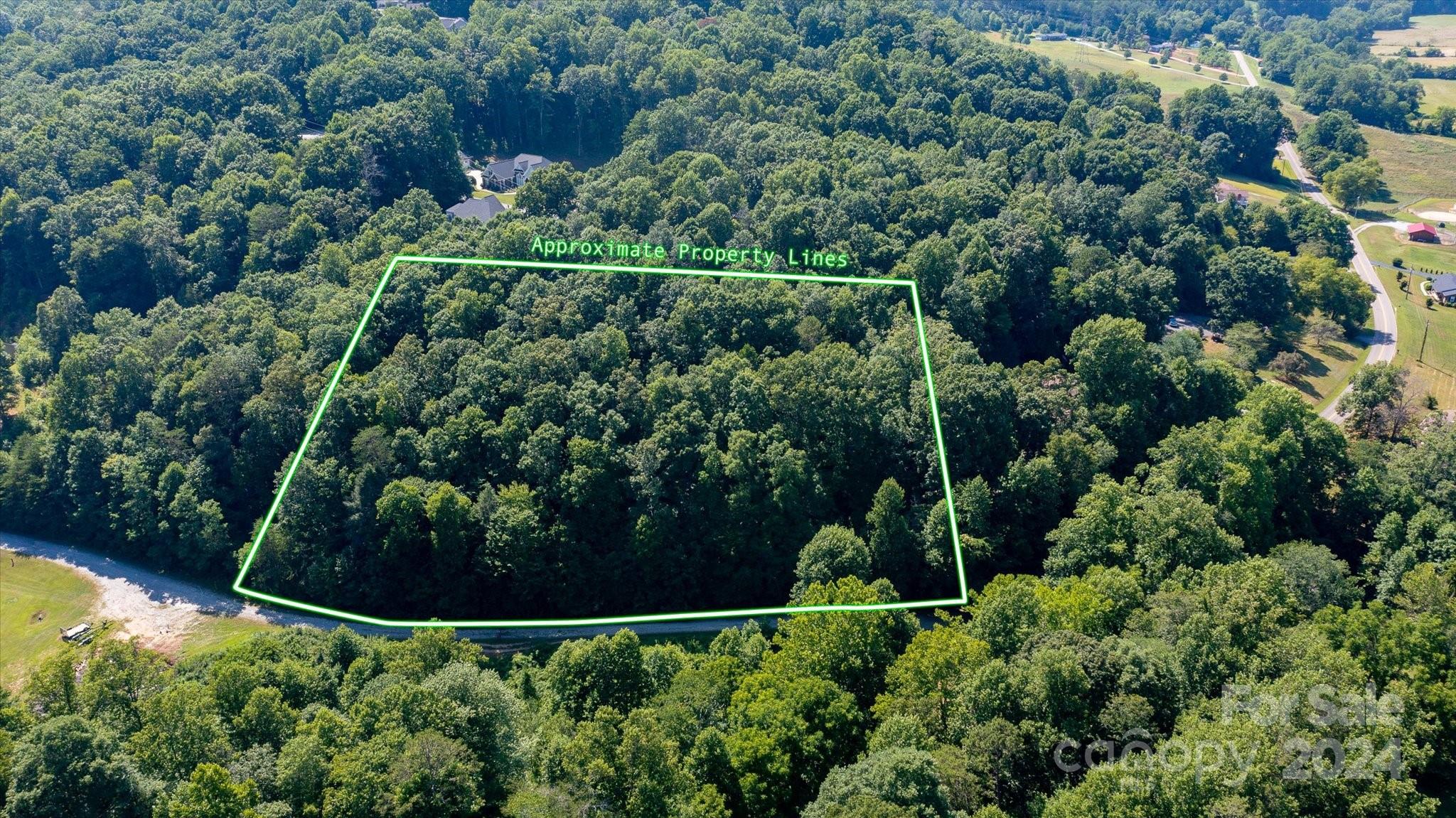 99999 Goose Creek Road Marion, NC 28752 - Photo 2 of 13