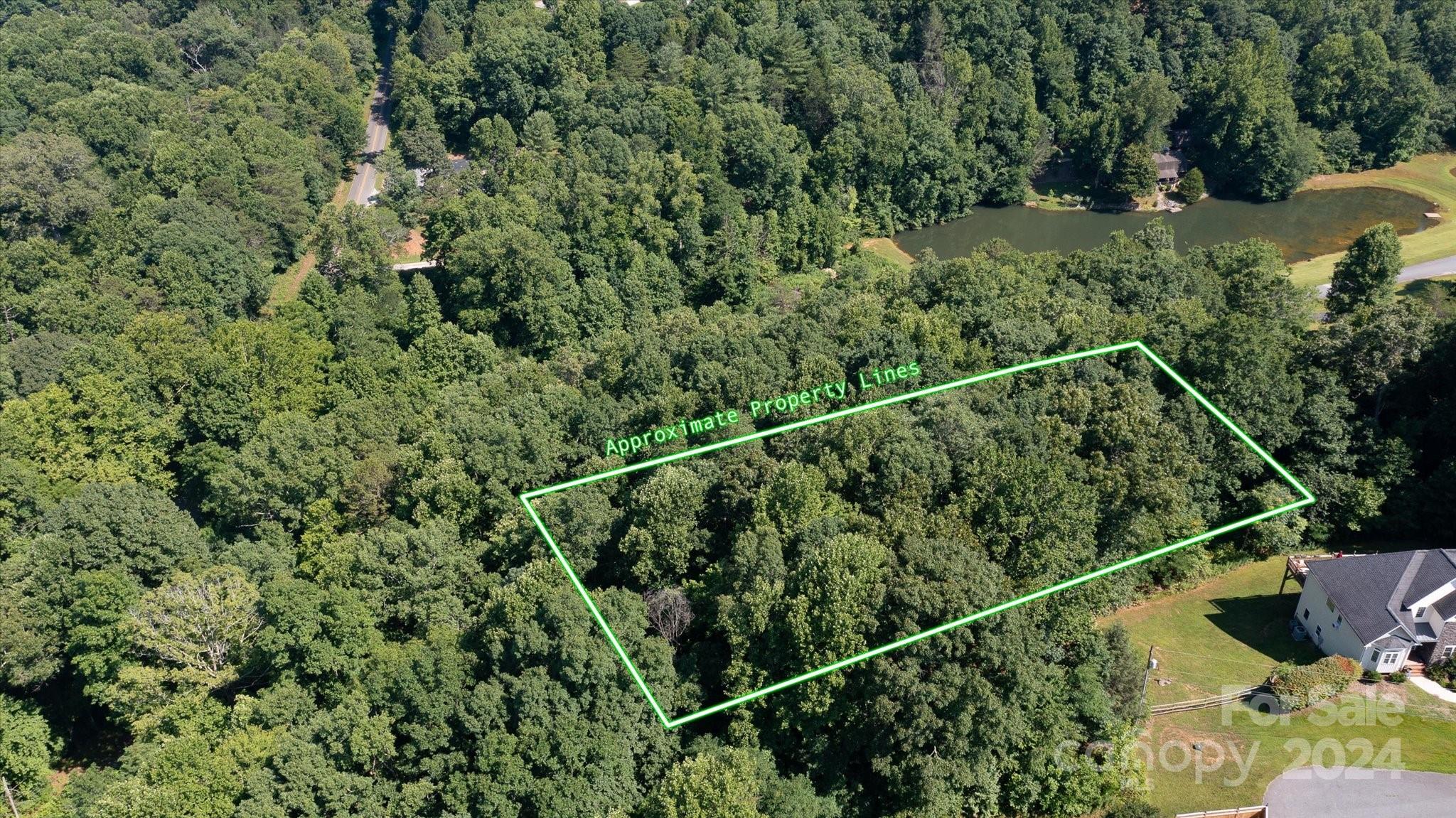 99999 Goose Creek Road Marion, NC 28752 - Photo 3 of 13