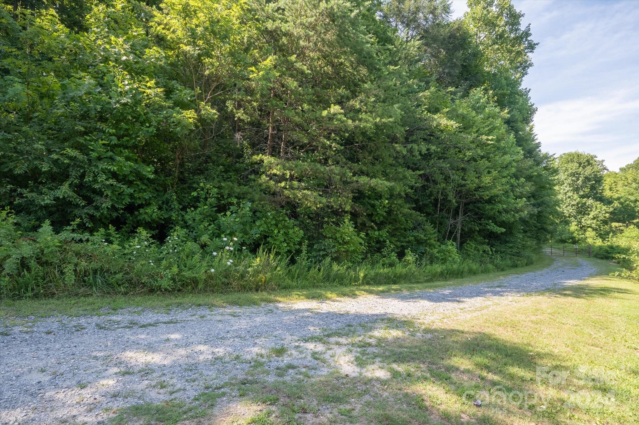 99999 Goose Creek Road Marion, NC 28752 - Photo 6 of 13