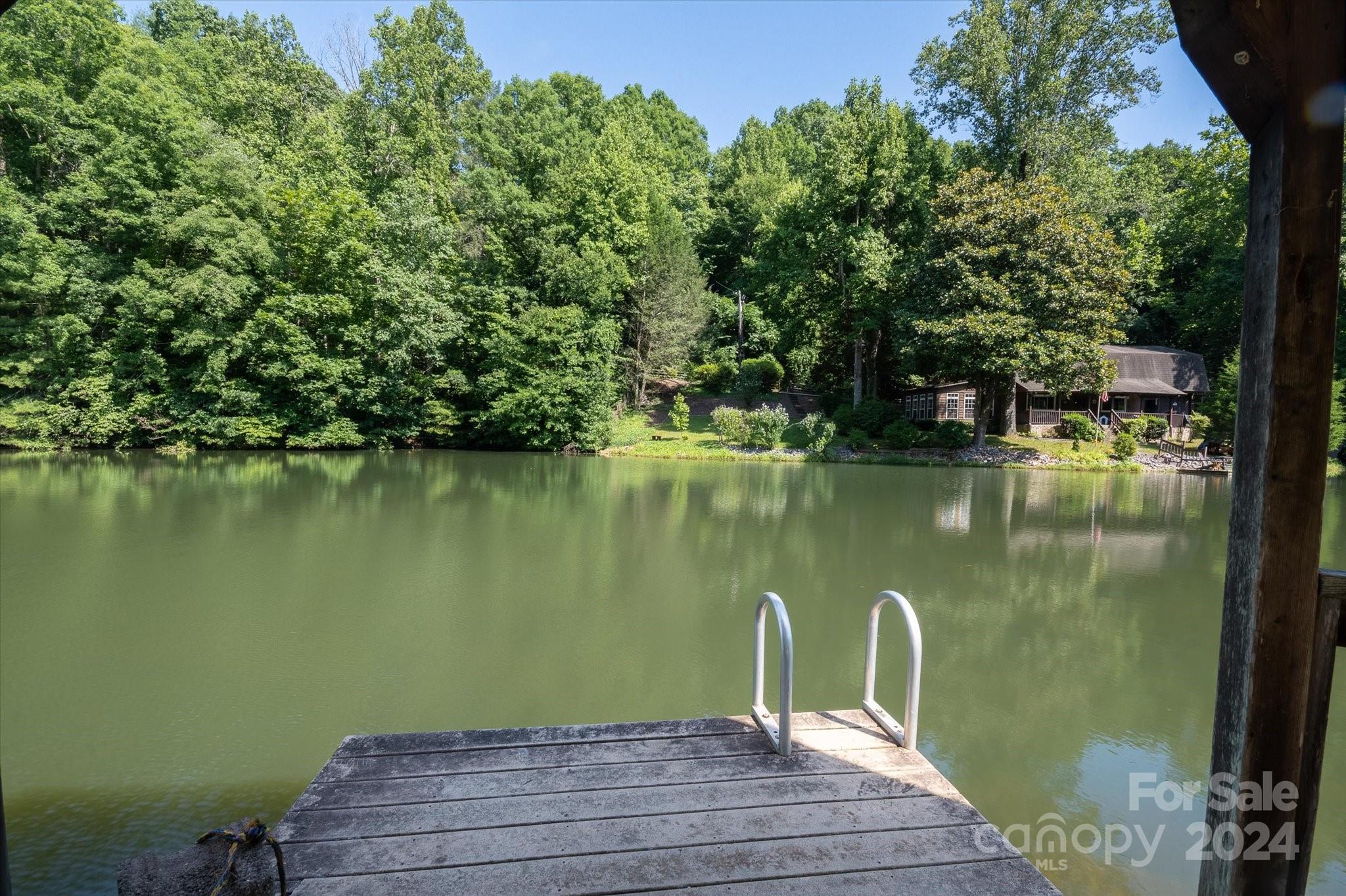 99999 Goose Creek Road Marion, NC 28752 - Photo 9 of 13