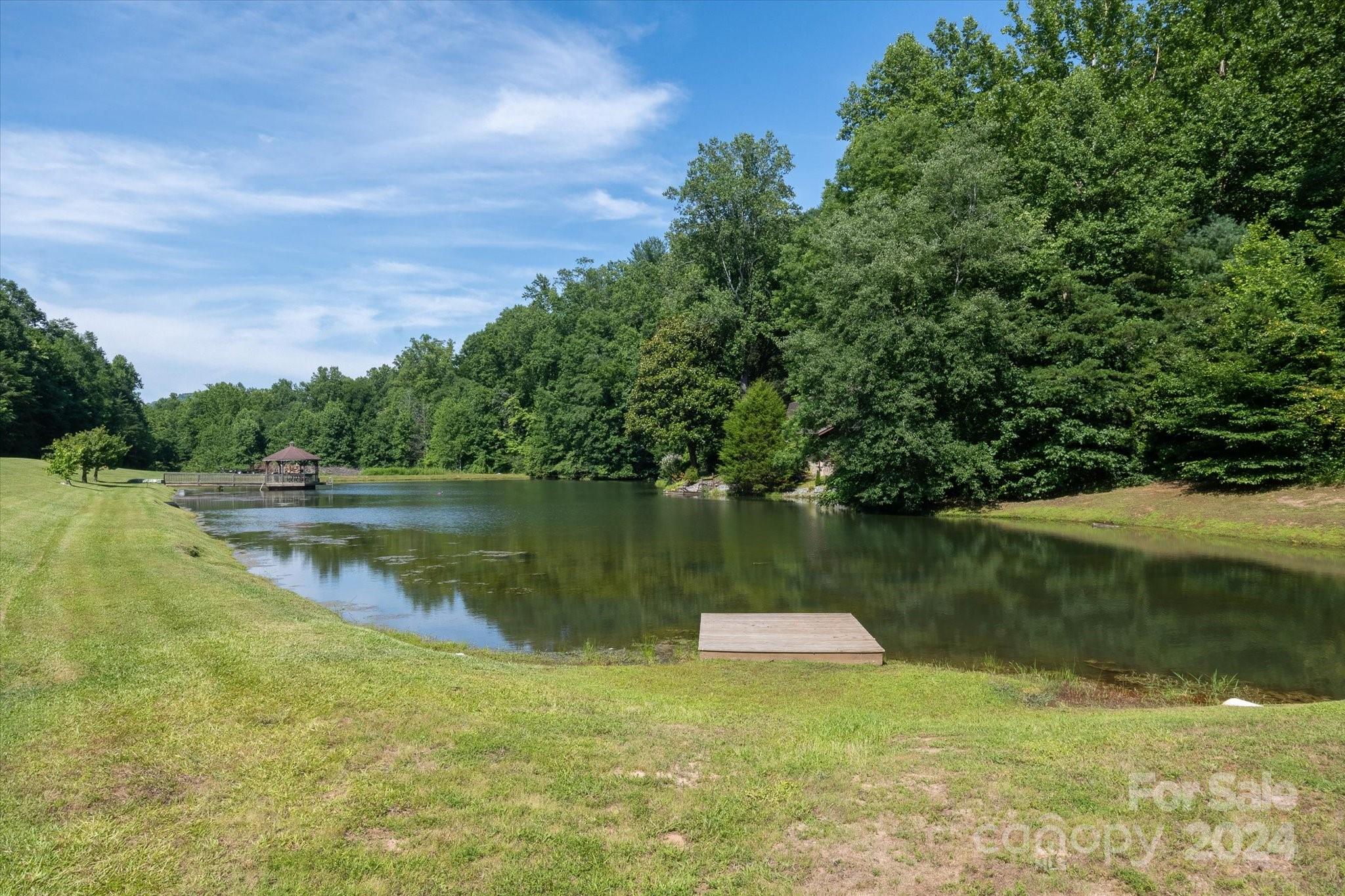 99999 Goose Creek Road Marion, NC 28752 - Photo 10 of 13