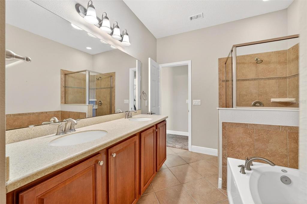 30224 Cheval Street Mount Dora, FL 32757 - Photo 29 of 45