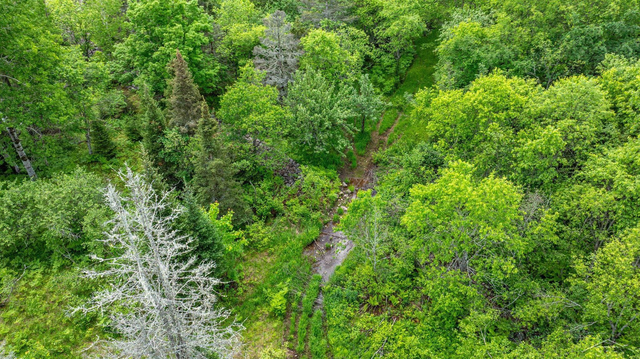 25615 Leo S Road Watton, MI 49970 - Photo 29 of 72