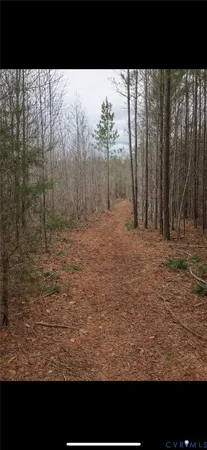 $189,000 | 0 Jefferson Highway, Bumpass, VA 23024