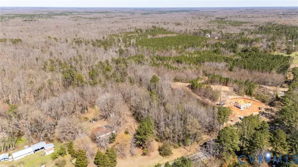 a close up of a plant