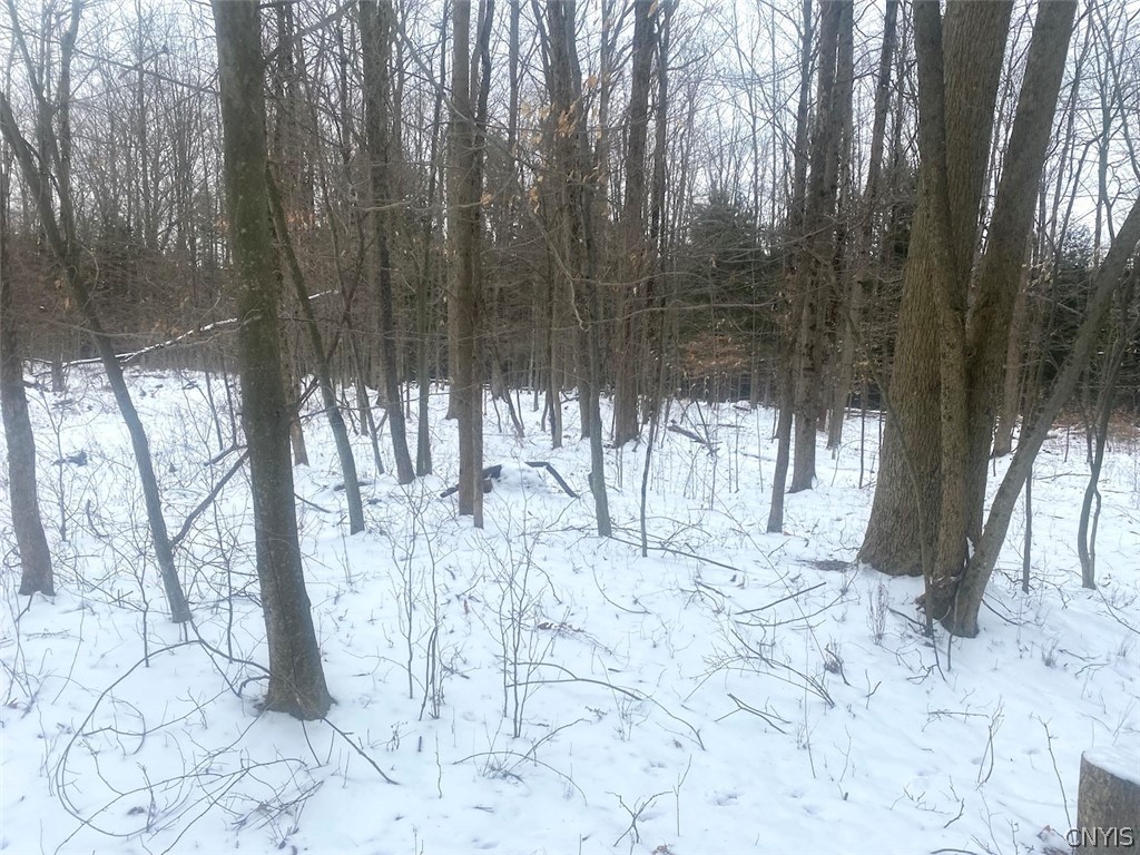 9382 Redman Road Allen, NY 14735 - Photo 11 of 19