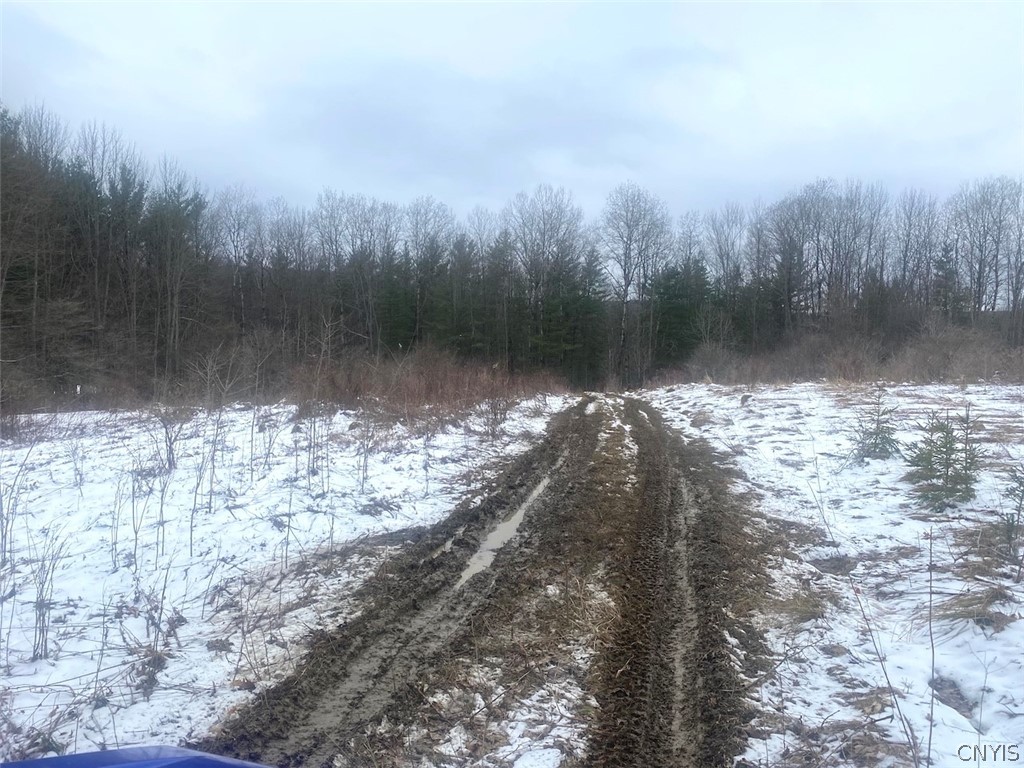 9382 Redman Road Allen, NY 14735 - Photo 12 of 19