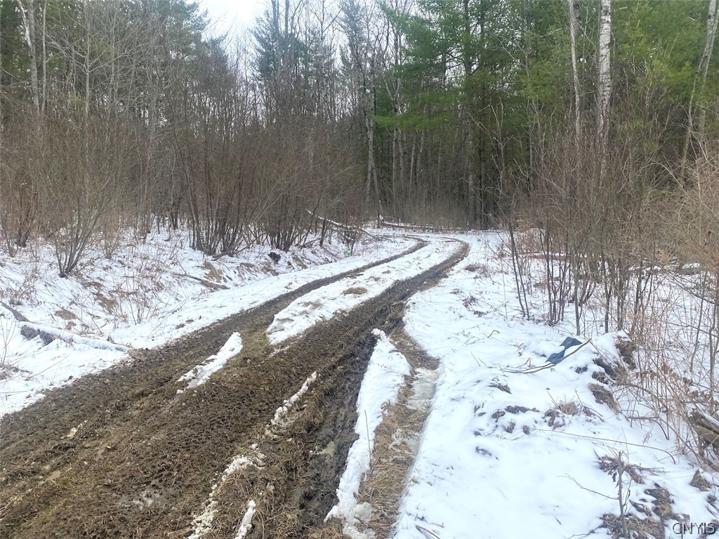 9382 Redman Road Allen, NY 14735 - Photo 13 of 19
