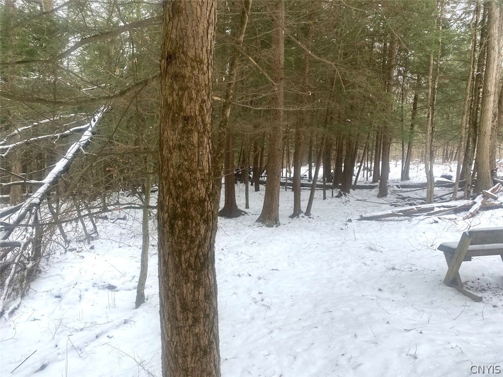 9382 Redman Road Allen, NY 14735 - Photo 14 of 19