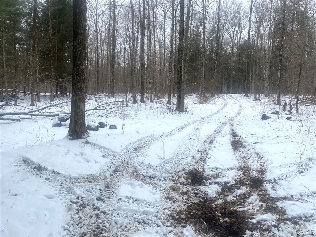 9382 Redman Road Allen, NY 14735 - Photo 15 of 19