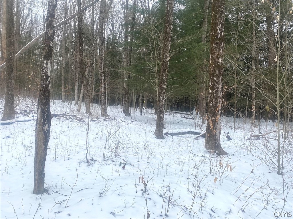 9382 Redman Road Allen, NY 14735 - Photo 9 of 19