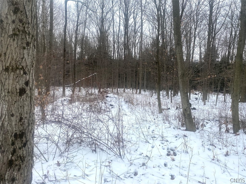 9382 Redman Road Allen, NY 14735 - Photo 10 of 19