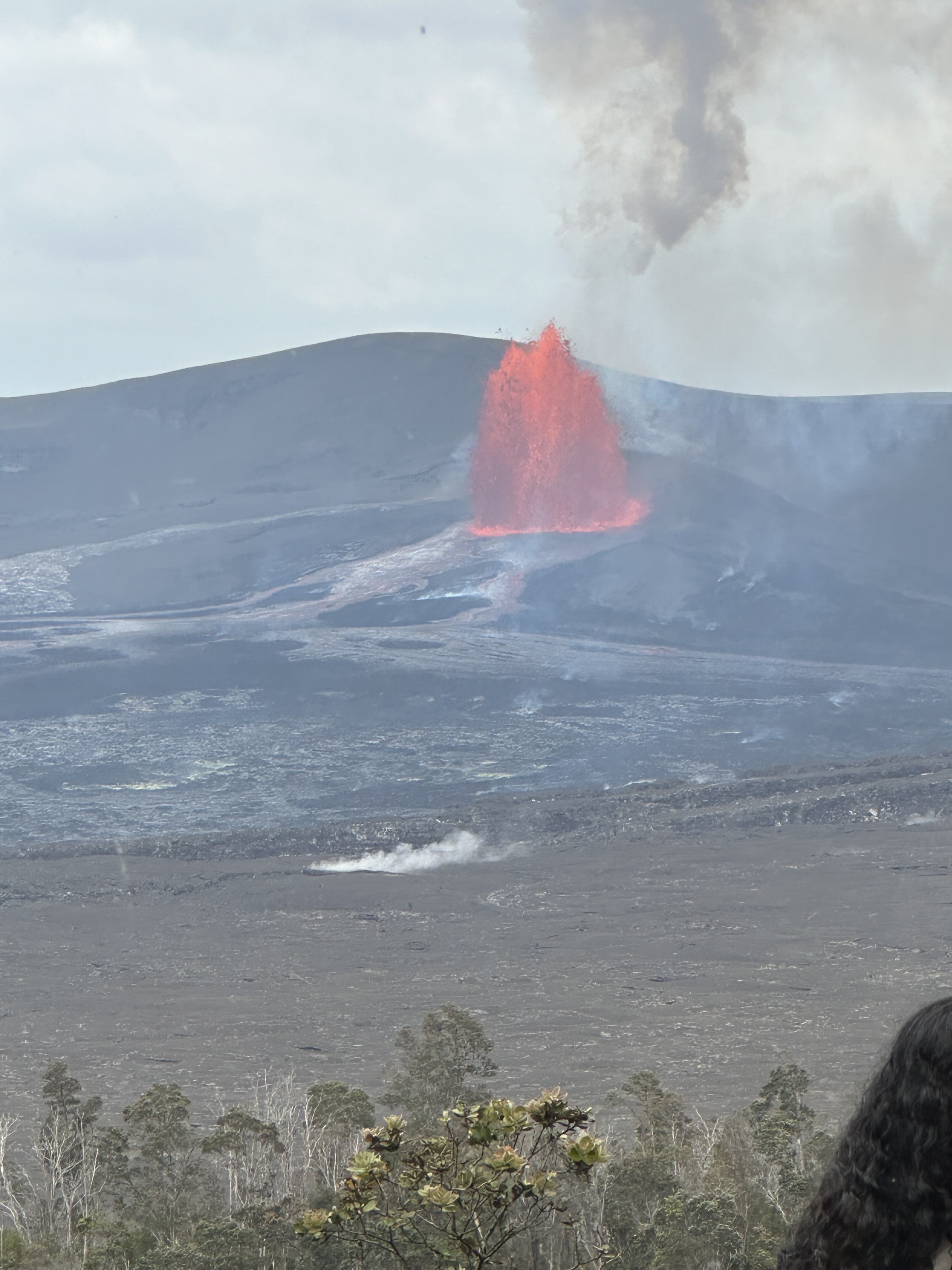 11-3335 Old Volcano Road Volcano, HI 96785 - Photo 21 of 22 Gallery Image 21
