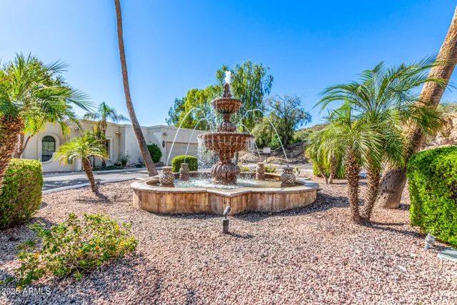 a view of a backyard with plants and palm tree