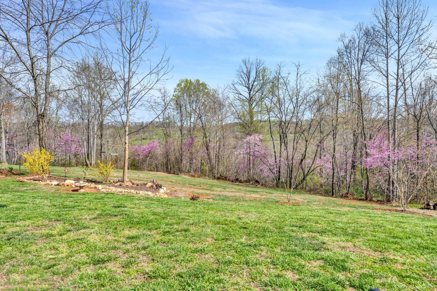 1333 Lynbrook Road Rustburg, VA 24588 - Photo 49 of 53 a backyard of apartments with large trees