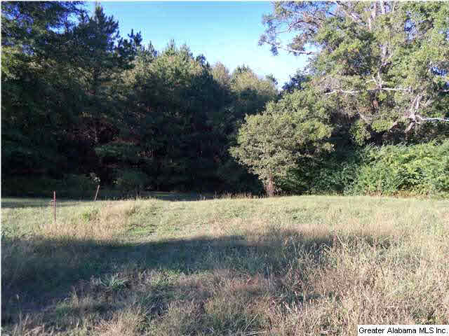 6841 Chesser Road Bessemer, AL 35023 - Photo 12 of 26