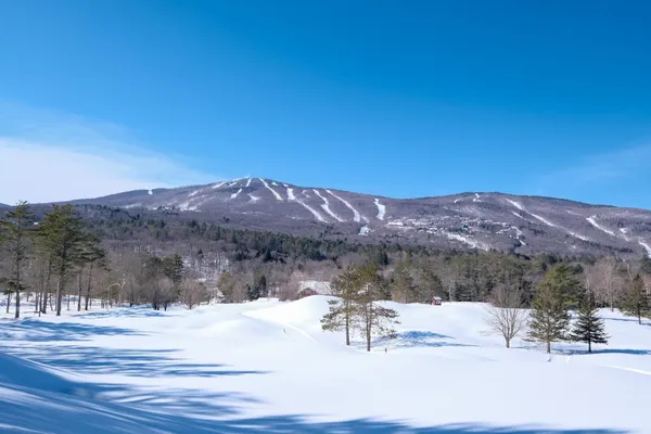 $995,000 | 117 Ledgewood Road, Unit F3 W/F4 GARAGE, Ludlow, VT 05149