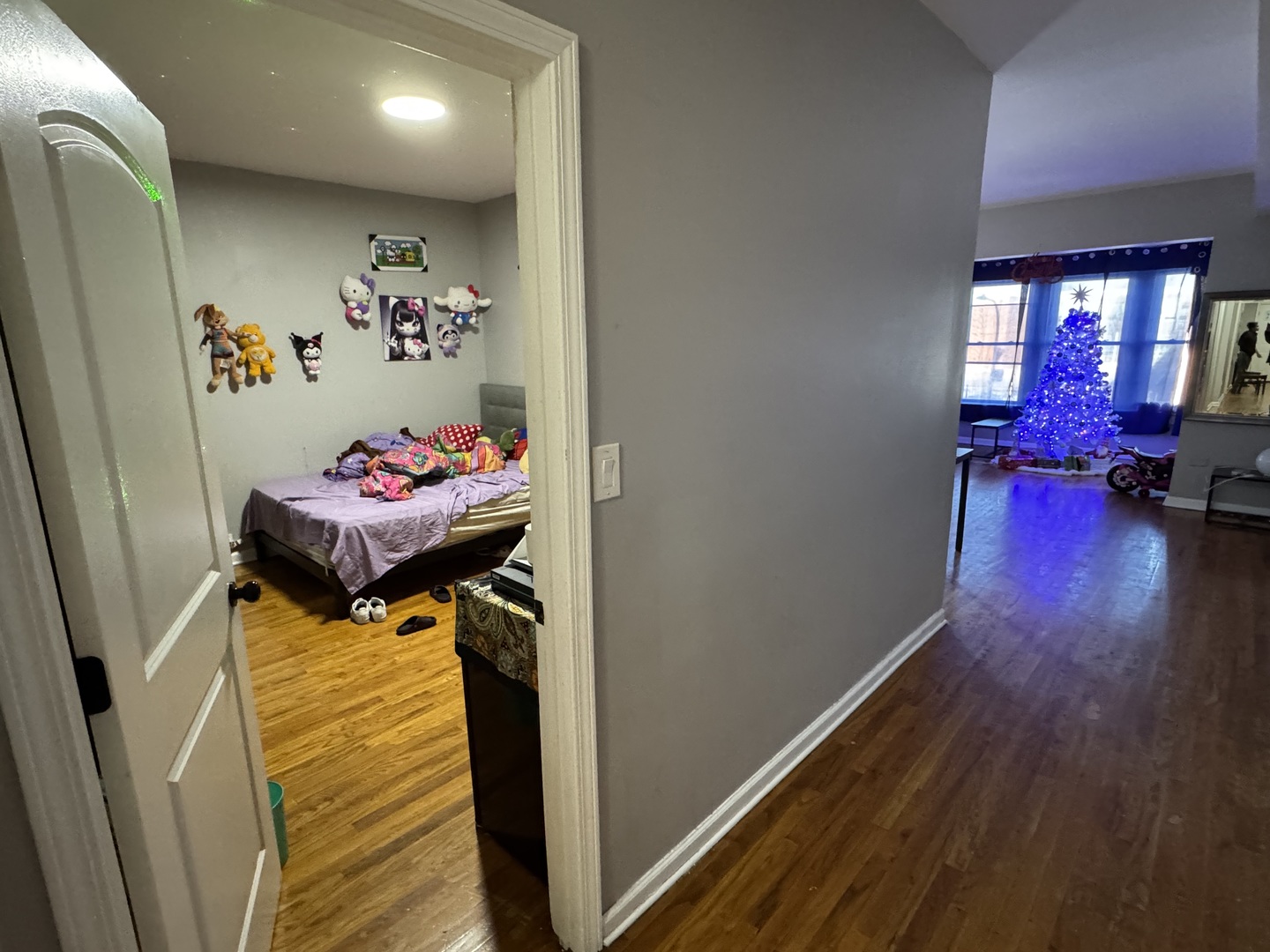 4407 West Adams Street Chicago, IL 60624 - Photo 5 of 15