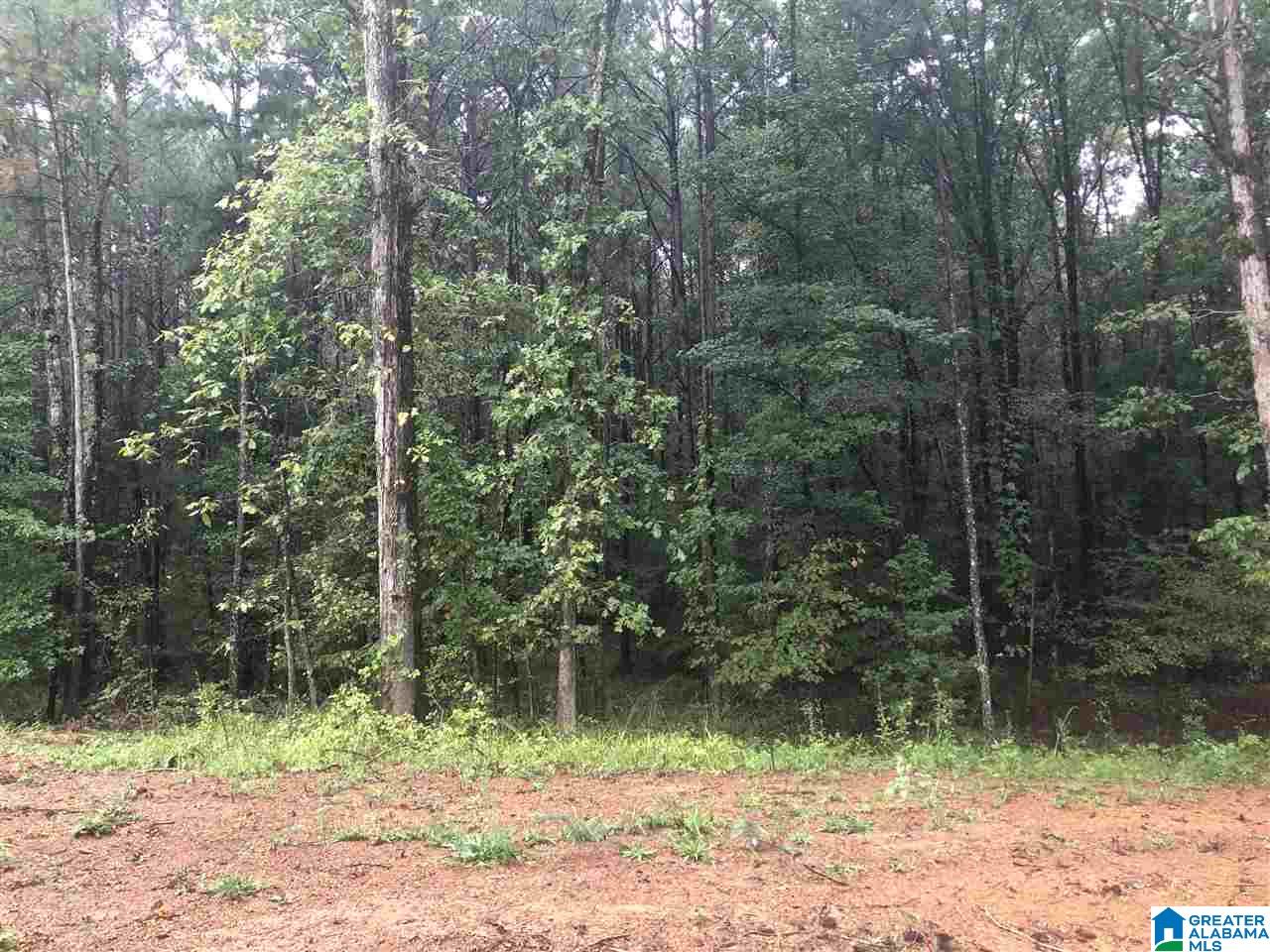 659 Deaver Walker Road, Unit 1 Trafford, AL 35172 - Photo 3 of 7